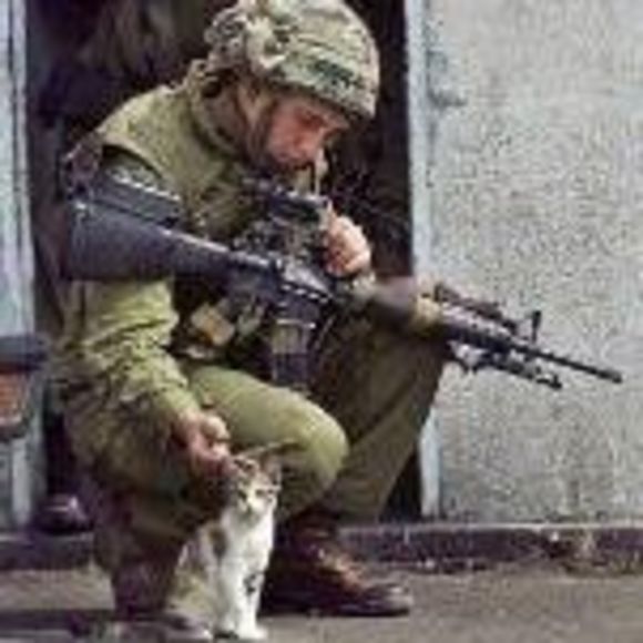 Meet your Posher, Juno - Picture 1 of 1